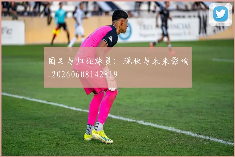 国足与归化球员：现状与未来影响_20260608142819
